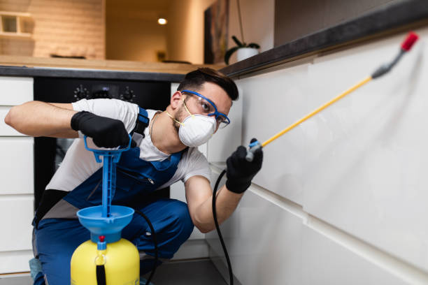 Best Best Pest Control Companies  in Lyons, WI
