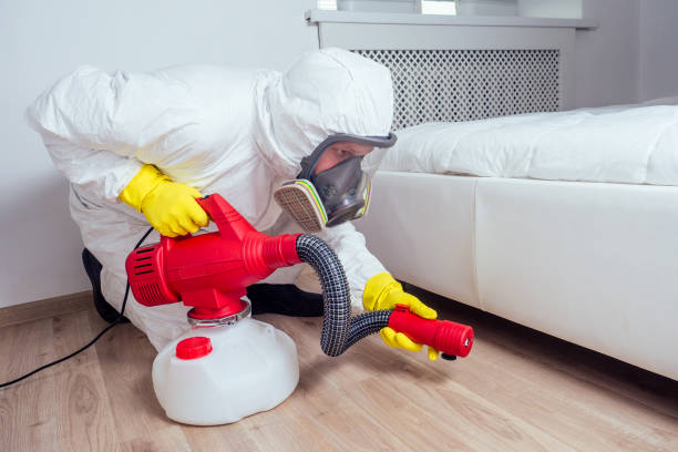 Best Wasp Removal Services  in Lyons, WI