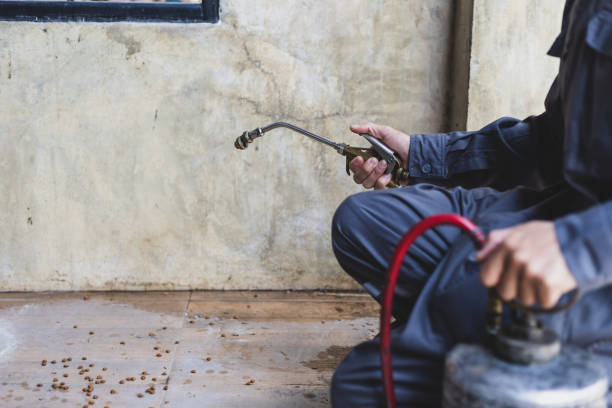 Best Pest Removal Services  in Lyons, WI