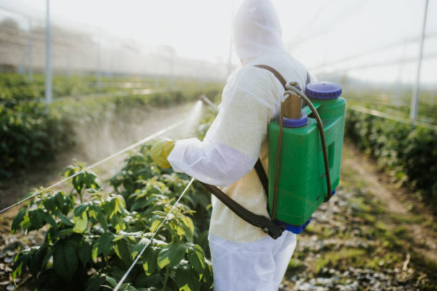 Wasp Removal Services in Lyons, WI